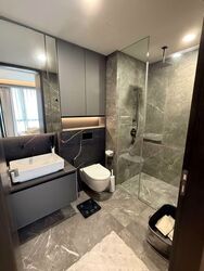 Irwell Hill Residences (D9), Apartment #604325281
